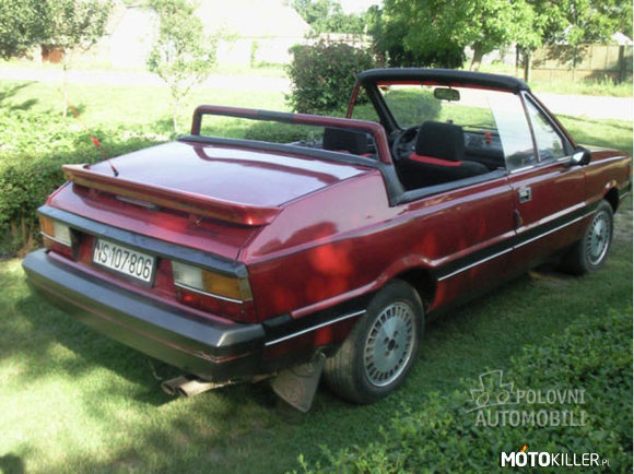 Polonez Cabrio – Powstały w oparciu o coupe. Wyprodukowano tylko 5 sztuk dla jugosłowiańskiej firmy wypożyczającej auta. Nie wiadomo, ile jeździ do dziś. 