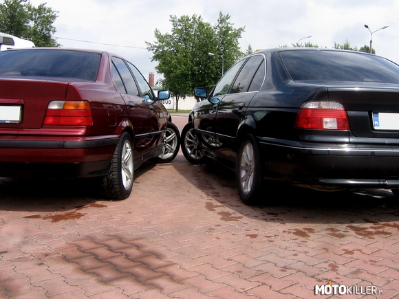 BMW 3er & 5er – Żółwik 