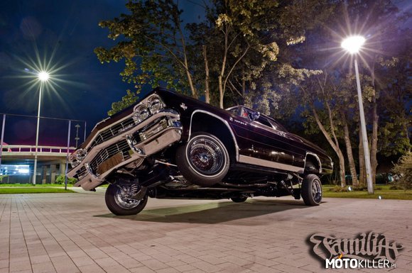 Familia 65 – Chevrolet Impala, znany również jako Familia 65 jako jedyny reprezentuje Polskę w legendarnym klubie Rollerz Only. Auto można spotkać  na ulicach Białegostoku. 