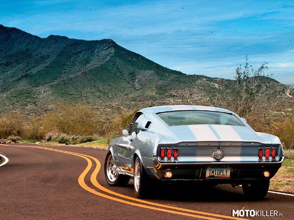 Ford Mustang Fastback – Piękny samochód i droga. Cóż więcej do szczęścia potrzebne? 