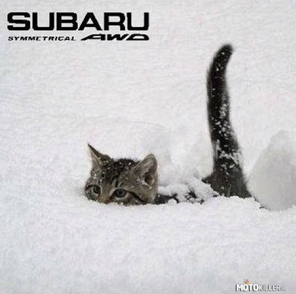 Subaru AWD –  