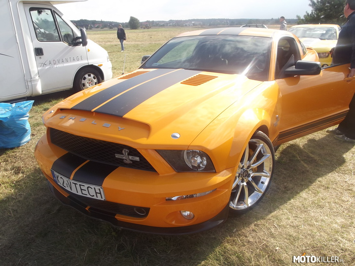 Ford Mustang SHELBY GT500KR – American Cars Mania 