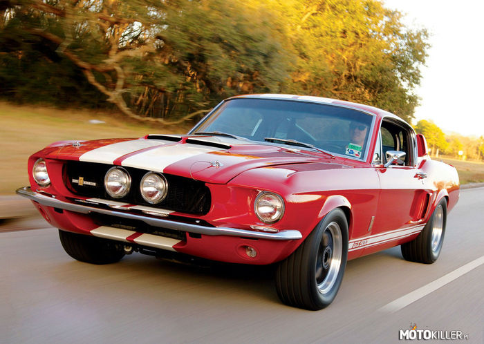 Shelby GT 500 –  