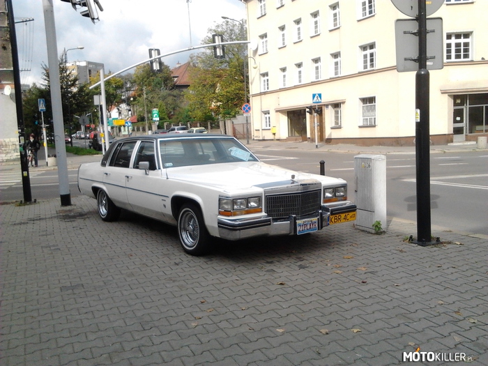 Cadillac  złapany w Gliwicach – Powie mi ktoś co to za model? 