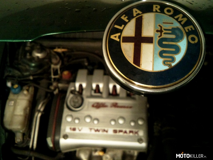 Alfa Romeo 147 – Z serii jak wszyscy to i ja. Serce mojej włoszki 