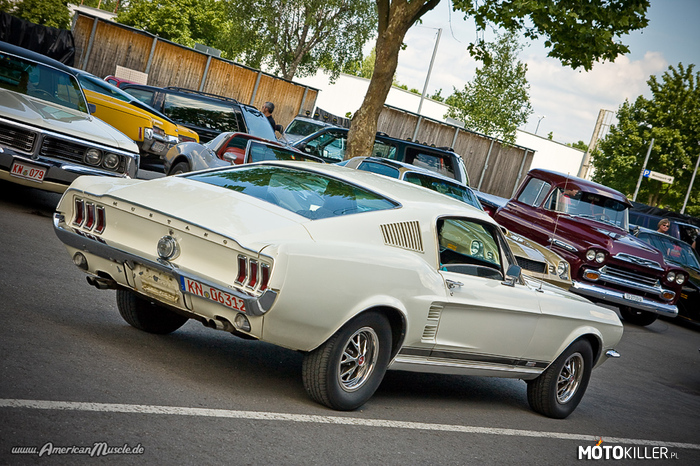 Ford Mustang Fastback –  