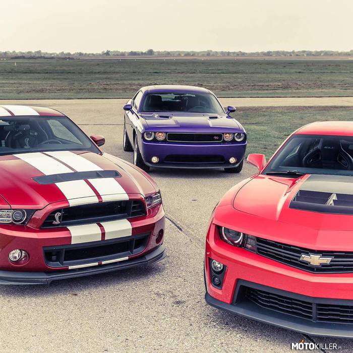 American Muscle –  