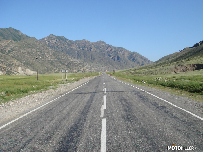 Droga R256 – Zaczyna się w Nowosybirsku, gdzie łączy się z M51 kierującą się na zachód i M53 na wschód, kierując się na południe. Południowa część o długości 510km zwana Traktem Czujskim jest typową drogą górska przebiegającą przez góry Ałtaju stromymi dolaniami wzdłuż rzek Katuń oraz Czuji. Droga na całej długości asfaltowa w dobrym stanie. Do końca 2017 roku obowiązuje także numer M52, zaś obecny został nadany w związku ze zmianą numeracji dróg w Rosji. 