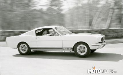 Ford Mustang gt350 1965  –  