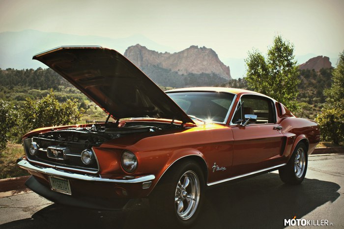 1967 Ford Mustang –  