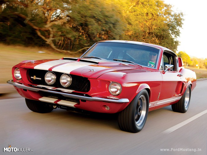 Shelby Mustang GT 500 – 1967 