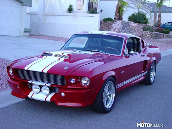GT 500 – Shelby Mustang  GT 500 ESS 