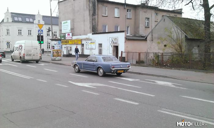 Tył Mustang Opole –  
