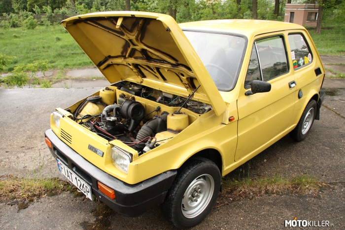 Fiat 126NP – Prototyp polskiego Fiata 126p, posiadał napęd na przednią oś oraz 2-o cylindrowy, 4-o suwowy, umieszczony z przodu chłodzony powietrzem silnik który rozwijał prędkość 105 km/h. 