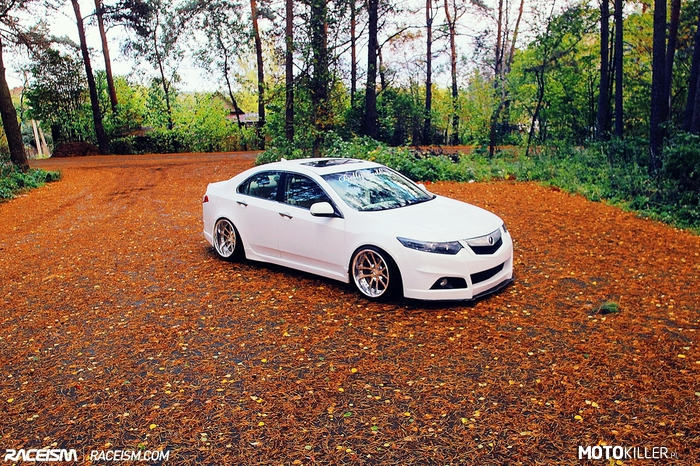 Acura TSX –  