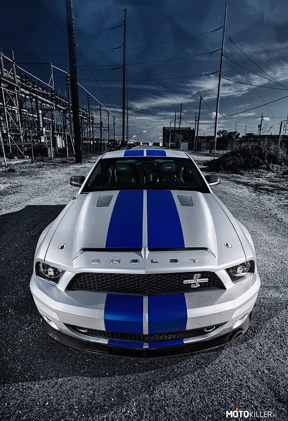 Mustang Shelby –  