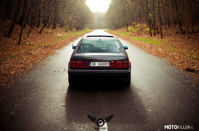 Audi V8 – Pięknie od tyłu 