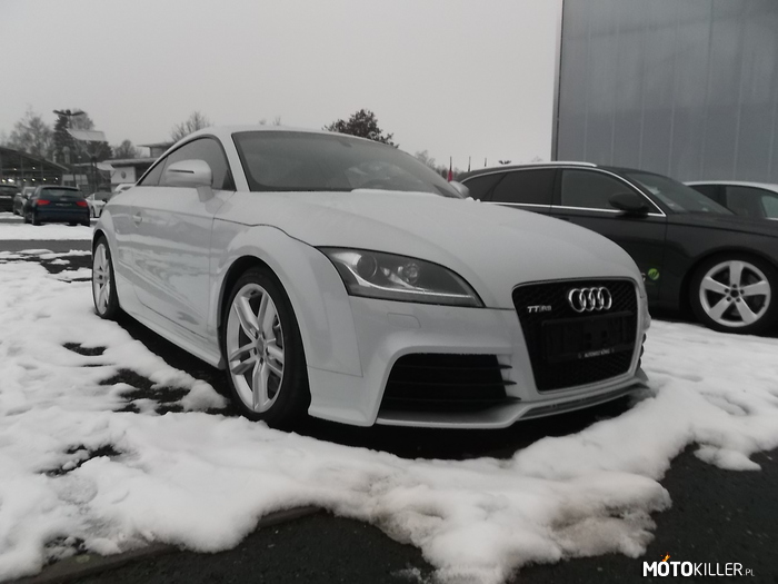 Audi TTRS – Uchwycone pod zwykłym Niemieckim salonem Audi 