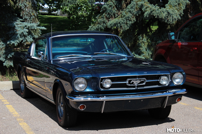 Ford Mustang GT 2+2 fastback – 1966r. 