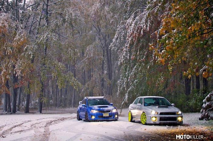 Subaru lubi zimowe klimaty –  