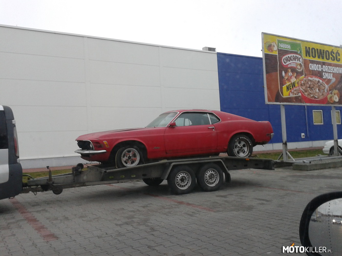 Mustang – Przyłapany pod TESCO w Świebodzinie. Mam nadzieje że trafi w dobre ręce 