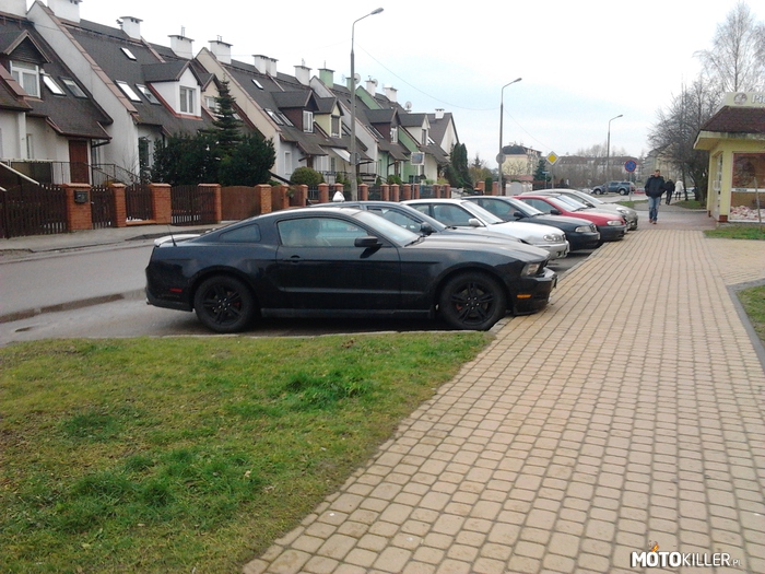 Mustang – spotkany w Olsztynie 