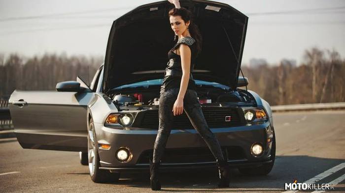 Mustang – I śliczna Pani 