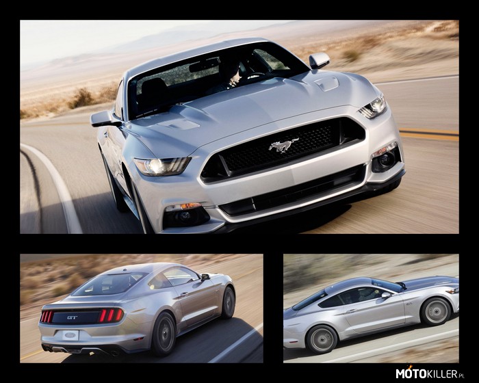 Nowy Ford Mustang (2015) – w końcu oficjalnie – Nowy Ford Mustang to jeden z najbardziej wyczekiwanych samochodów tego roku. Po masie teaserów, spekulacji i przecieków dziś Ford oficjalnie przedstawił nową generację kultowego Mustanga.

Zgodnie z wcześniejszymi zapowiedziami stylistyka auta nawiązuje do konceptu Evos z 2011 roku. Amerykanie zdecydowali się na połączenie klasycznych cech Mustanga z futurystycznym Evosem. Pojazd wyróżnia się charakterystyczną bryłą nadwozia odwołującą się do klasycznego fastbacka i zadziornym pasem przednim z nowoczesnymi reflektorami. Na masce są ciekawe przetłoczenia i otwory wentylacyjne, a z tyłu tradycyjne pionowe światła w nieco unowocześnionej formie.

Klienci będą mogli wybierać spośród różnych wzorów felg aluminiowych w rozmiarze od 18 do 20 cali. Nowa generacja jest o 5 mm krótsza, o 38 mm szersza i o 35 mm niższa od obecnego modelu. Rozstaw osi pozostał bez zmian i wynosi 107,1 cala, a więc 2720 mm.

We wnętrzu bez większych zmian w stosunku do obecnej generacji. Oczywiście zestaw zegarów oraz konsolę centralną odświeżono, jednak wciąż z łatwością można poznać, że to amerykański samochód. Na konsoli centralnej króluje kolorowy wyświetlacz, pod którym znajduje się sporo przycisków. Klienci będą mieli do dyspozycji miedzy innymi następujące systemy: Intelligent Access, SYNC, MyFord Touch, Track Apps, MyColor oraz system audio Shaker Pro.

Zgodnie z wcześniejszymi zapowiedziami pod maskę trafią następujące jednostki benzynowe:
• 3,7-litrowy silnik w układzie V6 generujący co najmniej 304 KM i i 365 Nm momentu obrotowego;
• 2,3-litrowy, 4-cylindrowy, turbodoładowany silnik EcoBoost generujący ponad 309 KM i 406 Nm momentu obrotowego;
• 5,0-litrowy silnik w układzie V8 generujący ponad 425 KM i 528 Nm momentu obrotowego.

Niestety, Ford nie ujawnił jeszcze dokładnej mocy poszczególnych silników ani ich osiągów. Wiemy jednak, że napęd na tylną oś będzie przekazywany za pomocą 6-biegowej skrzyni manualnej lub 6-stopniowej przekładni automatycznej z łopatkami przy kierownicy. 

Inżynierowie zdecydowali się na kolumny MacPhersona z przodu, a największą zmianą jest niezależne zawieszenie z tyłu. Klienci będą mieli również do wyboru 3 zestawy hamulców, a w najmocniejszej wersji za felgami znajdą się 15-calowe tarcze hamulcowe z 6-tłoczkowymi zaciskami.

Ford zaprezentował również wersję z otwartym nadwoziem, która została wyposażona w wielowarstwowy, materiałowy dach.

Nowa generacja Mustanga trafi do amerykańskich salonów w drugiej połowie roku 2014. Będzie ona dostępna globalnie. W Europie i na innych kontynentach ma się pojawić w roku 2015.

Podobało się? komentujcie i głosujcie, a bd więcej. Pozdrawiam motokilerów ~AwesomeMuscule 