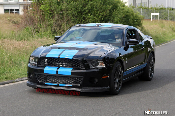 Ford Mustang Shelby GT 500 –  