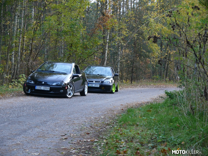 Opel Tigra & Honda Civic VI – Auta z Bełchatowa 