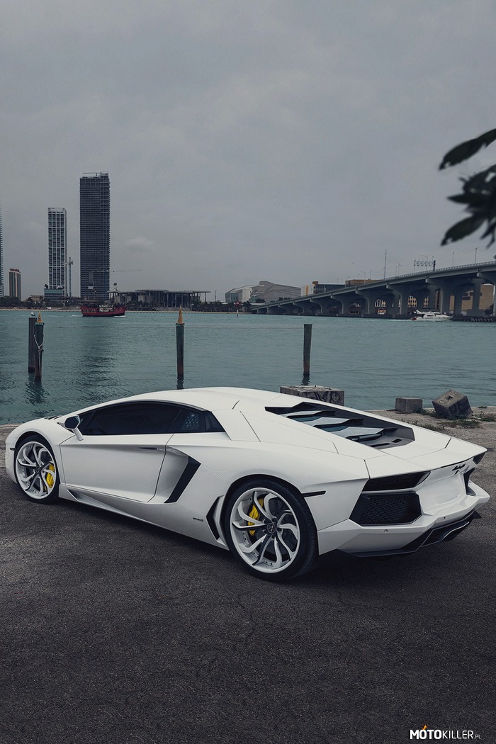Lamborghini Aventador – Wyróżnia się z tłumu. 