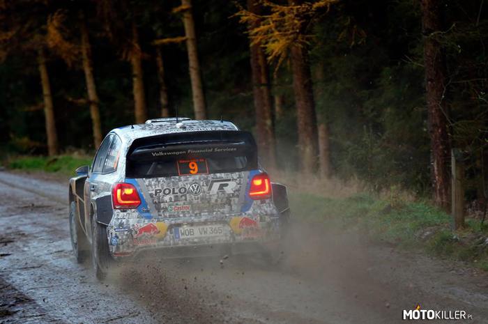 WRC –  