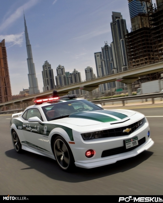 Policja – w Dubaju 