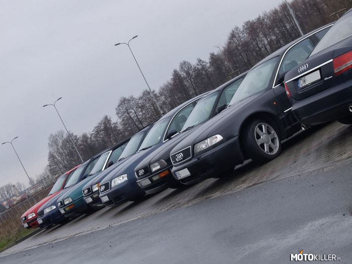 Audi Dolnośląskie – Spot naszego skromnego klubu Audi Dolnośląskie, jeśli jesteś z dolnego śląska to zapraszamy do nas 