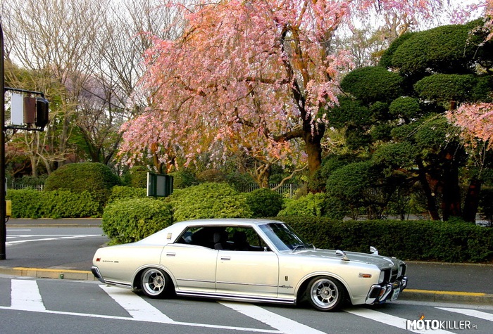 Nissan Cedric Gloria 330 –  