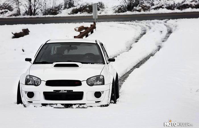 Zimowe Subaru –  