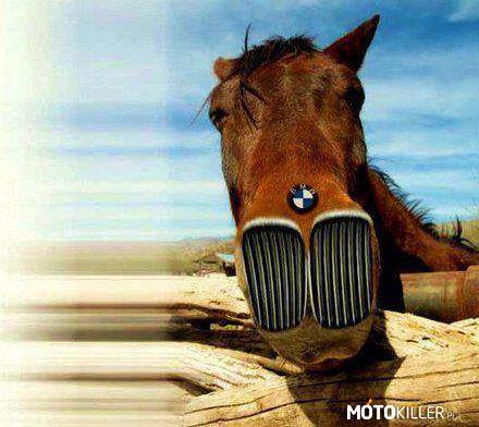 BMW Horse – Pewnie jest szybki xd 