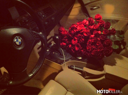 Walentynki – Wczoraj kupiłem bukiet kwiatów i schowałem w garażu. Dzisiaj rano włożyłem kwiaty do auta dziewczyny, gdy wyjeżdżała do pracy miała miłą niespodziankę 