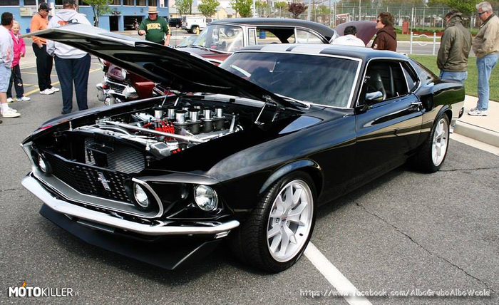 American Muscle –  