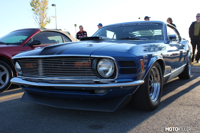 Mustang Mach 1 –  