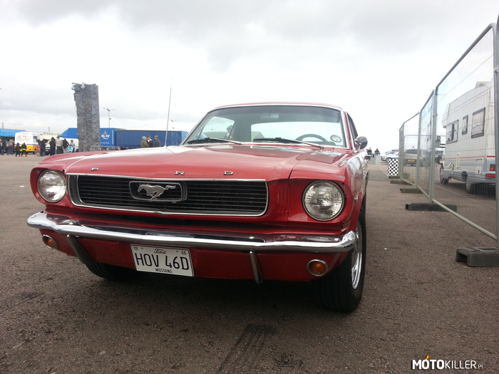 Ford Mustang 1965 – Co tu pisać po prostu piękny 