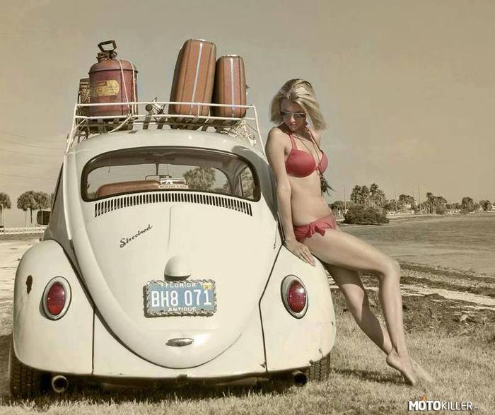 Volkswagen Beetle 1963 –  