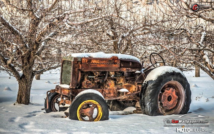 Old Junk – Nie przepadam szczególnie za traktorami, ale ten mnie jakoś urzekł 