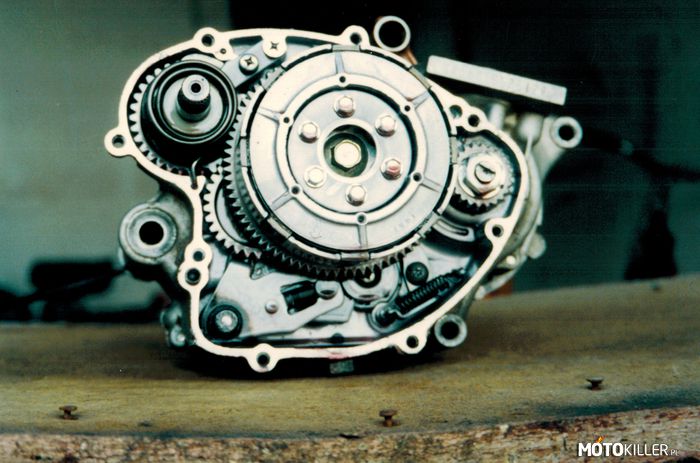 Serducho małego potwora – Silnik Kawasaki KX 60

Zgadniecie jaką miał moc? 
