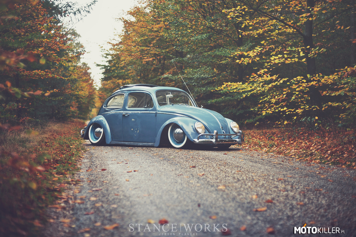 Ładnie na glebie – VW 