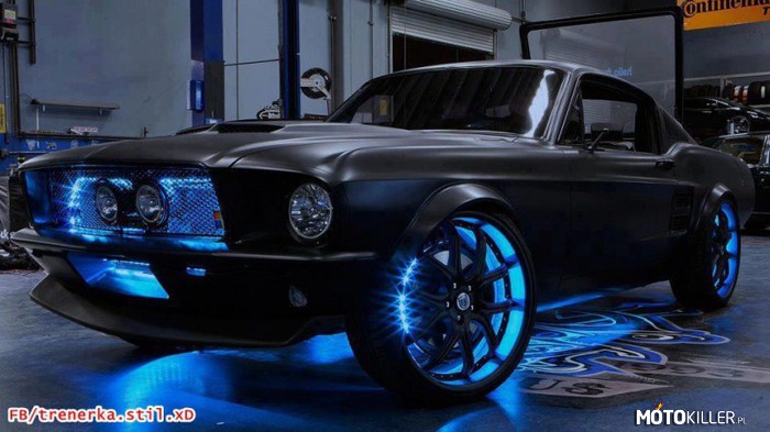 Mustang! – Niebieskooo :) 