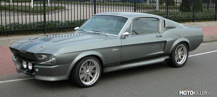 Mustang Shelby GT500 ma ok. 40 lat, dużo spala, stara konstrukcja – a i tak wielu go jeszcze chce mieć w tym i ja. 