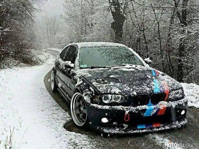 BMW – Czyż nie ładny? 