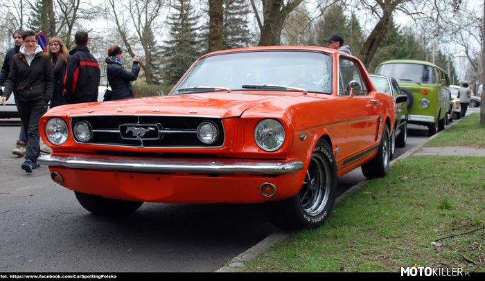 Mustang – Zdjęcie wykonane podczas Otwarcia Sezonu Youngitmer Warsaw 2014 w Rembertowie. Zapraszam do obejrzenia pełnej fotorelacji: https://www.facebook.com/media/set/?set=a.312380115581724.1073741836.126245937528477&type=1 