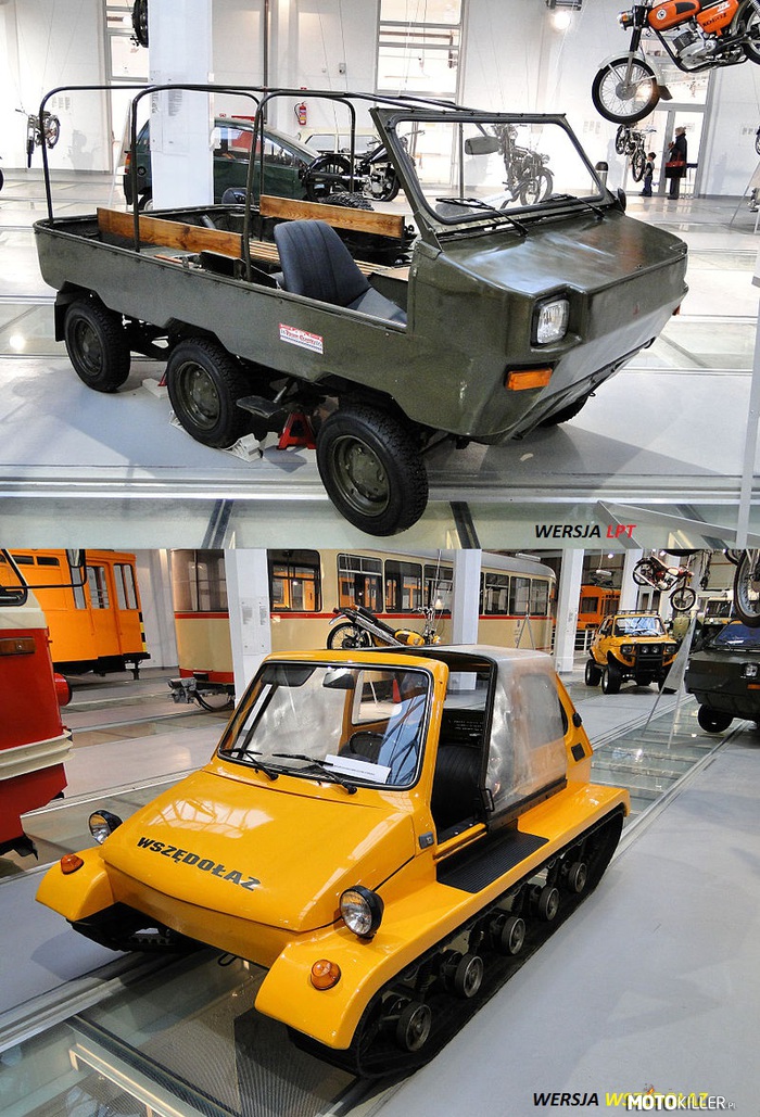 Fiat 126p  LPT oraz WSZĘDOŁAZ – Skrót LPT oznaczał „Lekki Pojazd Terenowy”. Ta odmiana Malucha powstała do zastosowań wojskowych. W latach 1979-1981 kilka egzemplarzy było testowanych w 16 Kołobrzeskim Batalionie Powietrznodesantowym w Krakowie. Wyprodukowano zaledwie kilkadziesiąt sztuk. Prototyp powstał w Koszalinie i został sprzedany w roku 1992 do Dretynka koło Miastka w woj. pomorskim. Pojazd ten miał elektryczną blokadę na środkową i tylną oś. Wersja „Amfibia” wyposażona była w śrubę do pływania. Napęd na śrubę można było podłączyć tylko poprzez środkową oś. Nadwozie wykonane było z włókna szklanego. W oplandekowanym dachu znajdowały się szyby z pleksi. Model ten miał trzy wycieraczki. Środkowa oś nie miała własnego zawieszenia. Przez to pojazd ten mógł się zawieszać na środkowej osi. Za przeniesienie napędu na osie odpowiadał łańcuch. Pojazd wyposażony był w dwie skrzynie biegów, pierwsza jak w oryginale. Druga zaś odwrócona, napędzała dwie osie i poprzez tę redukcję pojazd pokonywał strome wzniesienia. Hamulec ręczny hamował tylko środkową oś. LPT był siedmiomiejscowy – kierowca plus dwie poprzeczne ławki po trzy miejsca każda.

W latach 1979-1980 w Zakładzie Transportu Energetyki w Radomiu skonstruowano „Wszędołaza” – gruntowną przeróbkę Fiata 126p z gąsienicowym napędem i możliwością pływania. 